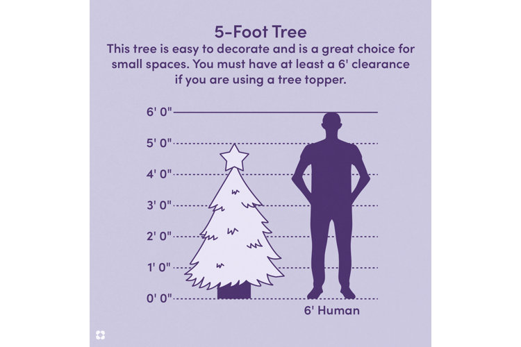 Your Guide to Christmas Tree Sizes Wayfair